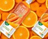The Growing Demand for Orange Carrot Juice Blend Drink Vitamin C 1L in Global Beverage Markets