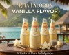 Wholesale 290ml Glass Bottle Falooda Vanilla Flavor — A Premium Beverage for Global Markets