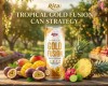 Tropical Gold Fusion Fruit Blend in 325ml Cans — A Strategic Opportunity for US Importers and Distributors