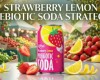  Strawberry Lemon Prebiotic Soda 330ml Short Can — A Strategic Product for the US and European Beverage Markets