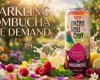 The Rising Demand for Sparkling Kombucha Prebiotic with Raspberry and Lemonade in the US and European Markets