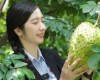  Discovering Rita’s Soursop Raw Material Area at Song Hau Farm