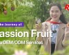 Where Sun Meets Soil: Rita Food & Drink Co.,Ltd Visits Passion Fruit Gardens in Vietnam’s Central Highlands