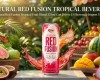 Natural Red Fusion Tropical Fruit Blend 325ml Can Drives US Beverage Import Trends