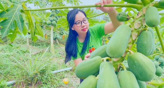 The Mekong Delta Is The High-Quality Raw Ingredients Area Of Rita