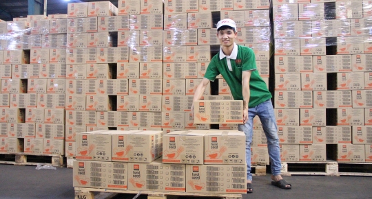 Discover RITA Company's Production Line Excellence