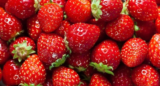 Strawberry fruit