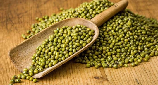 Mung Bean Is The Small Beans With Great Benefits