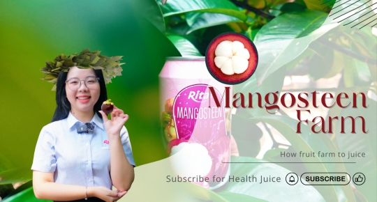 Rita’s Mangosteen Garden Inspection – The Journey from Farm to Premium Juice