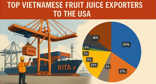 Top Vietnamese Fruit Juice Exporters to the USA: A Rising Power in Global Beverage Trade