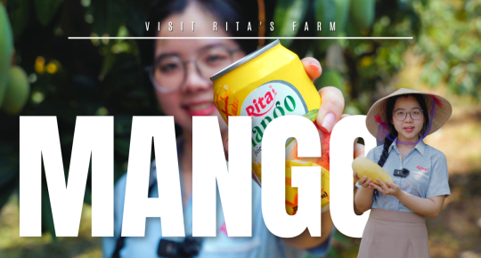 From Mango Farm to Masterpiece – How Rita Turns Nature’s Gold into Premium Mango Juice