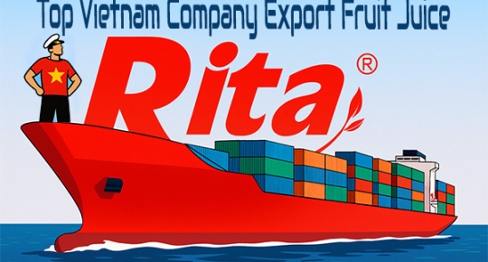 Top Vietnam Company Export Fruit Juice