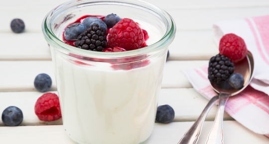 YOGURT – Everything you need to know?