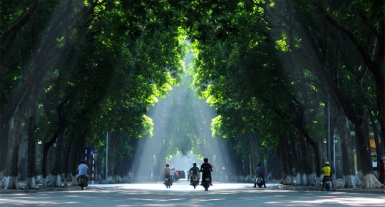 Autumn Season -  The Most Romantic Time Of The Year In Hanoi