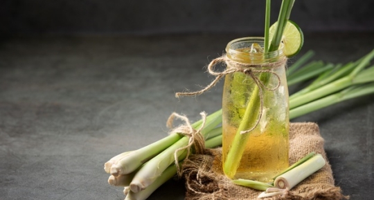 NINE REASONS TO FALL IN LOVE WITH LEMONGRASS