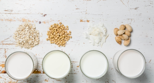 PLANT-BASED MILK