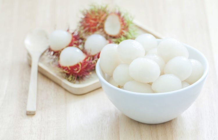 loi ich cua chom chom e1521879102438