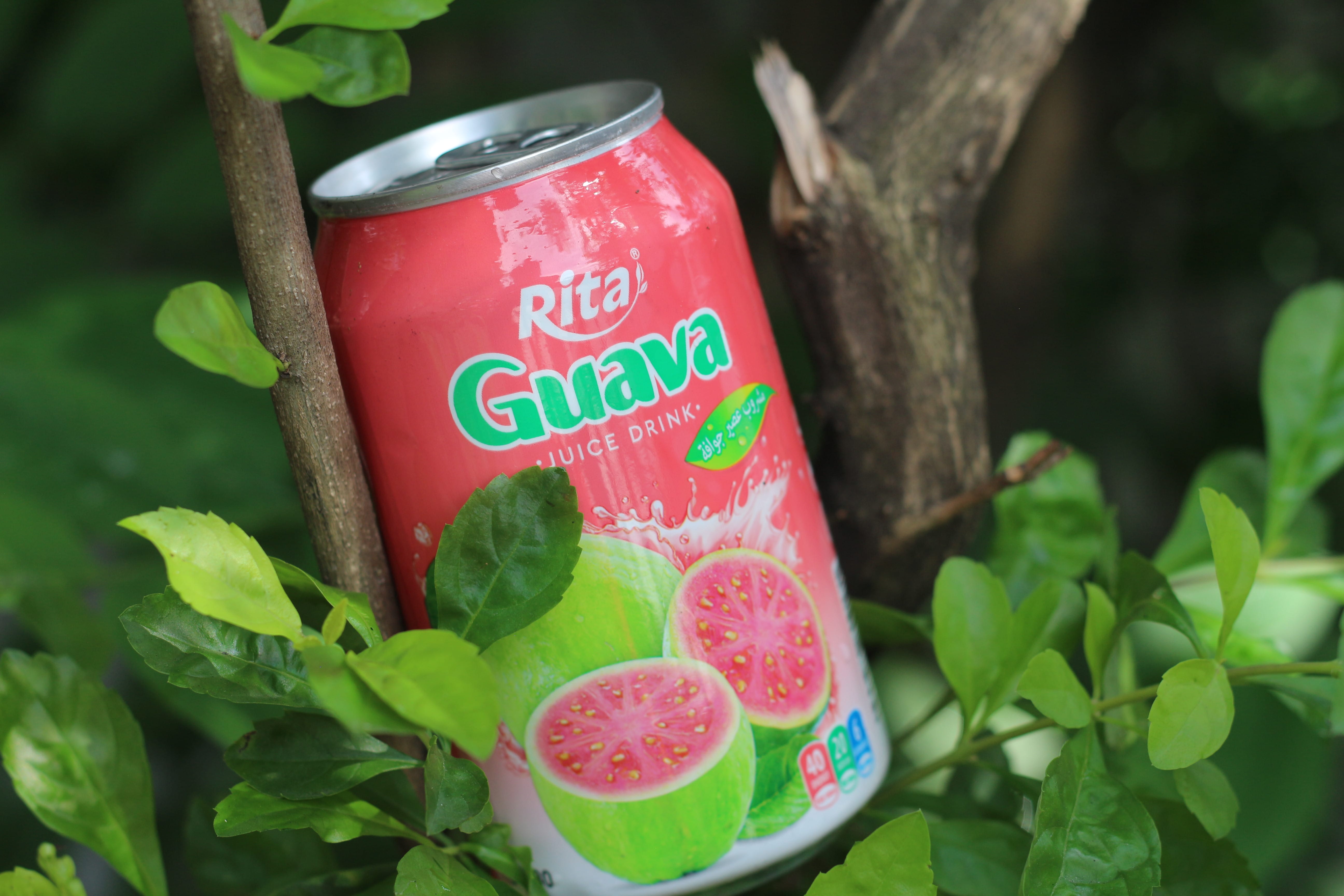 Rita Guava Juice Drink 330ml Alu Can