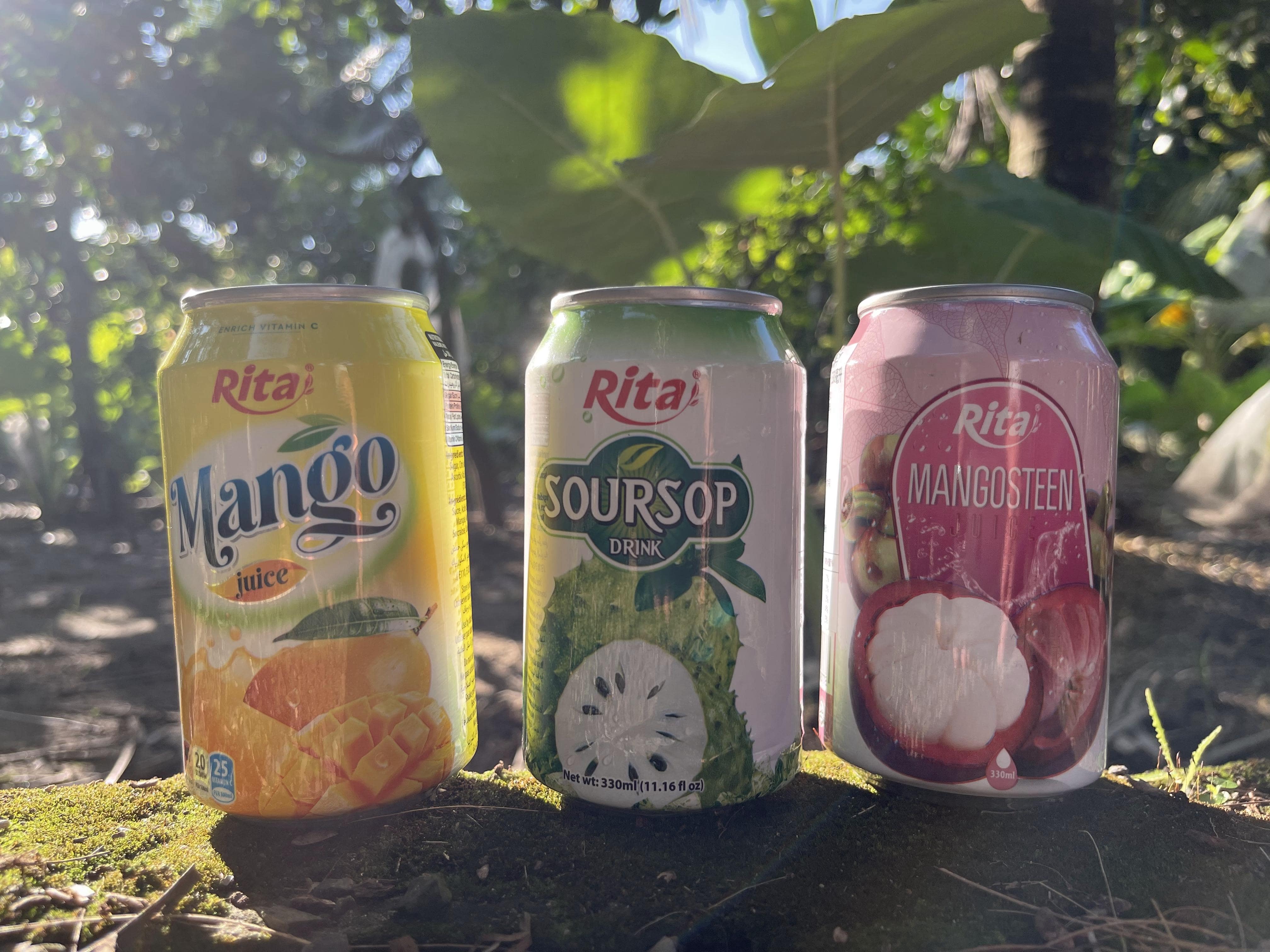 Rita Fruit Juice Drink 330ml Can min