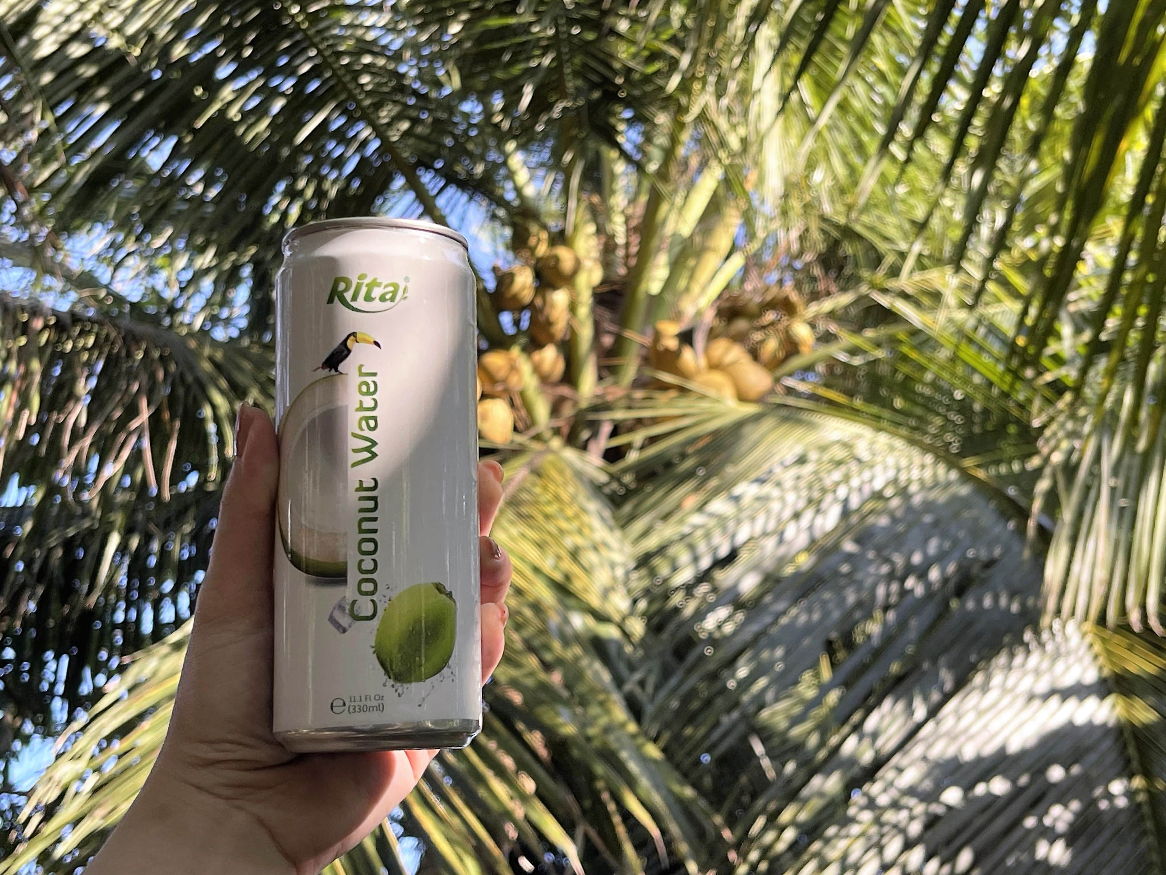 Rita sprkling coconut water min