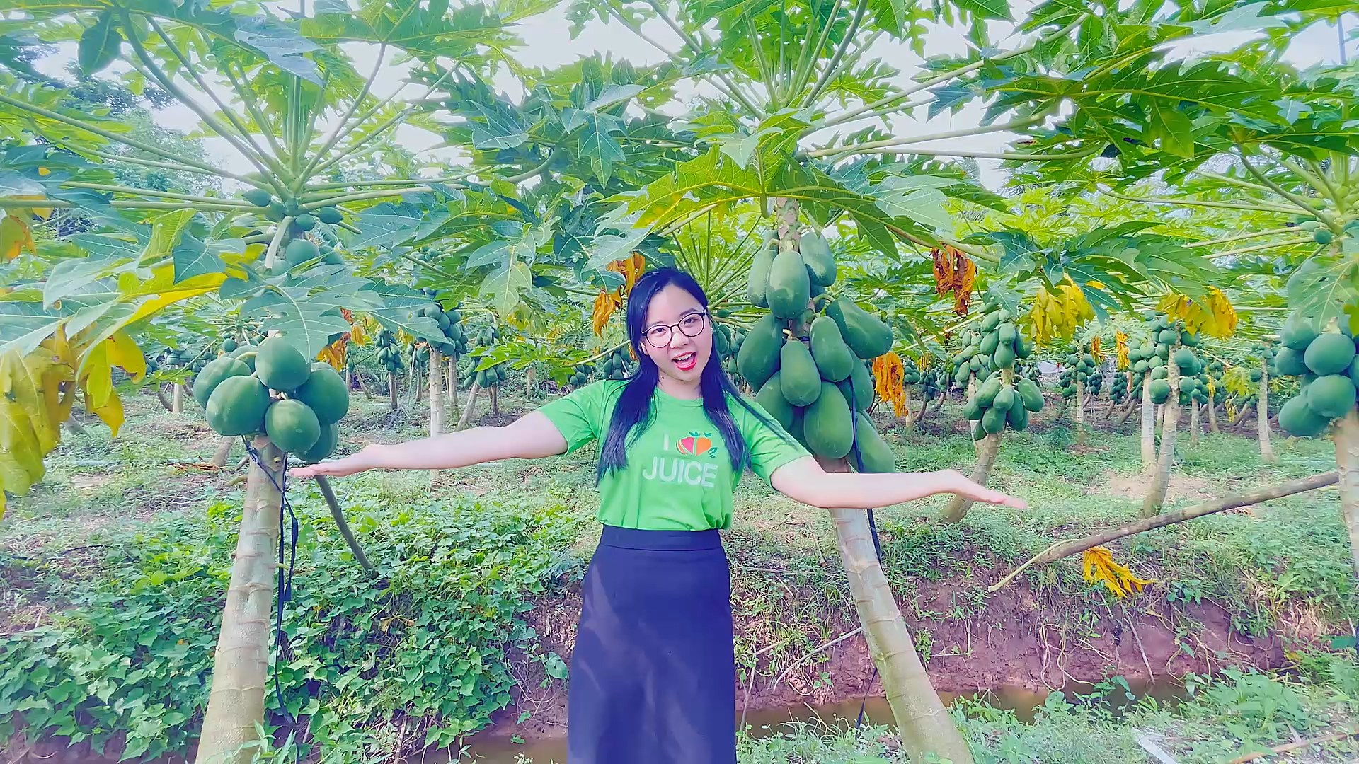 RITA PAPAYA FARM – THE JOURNEY FROM FARM TO A PERFECT JUICE