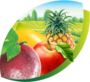 Fresh fruit Fresh fruit