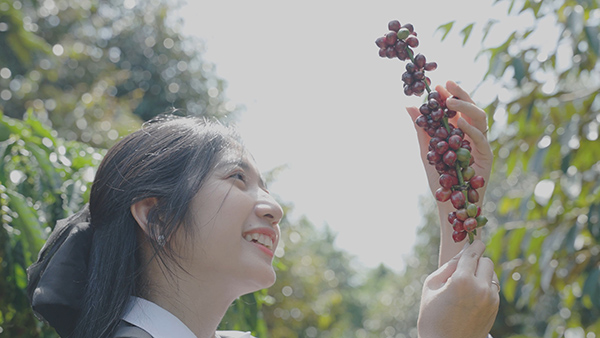 From Highlands to Can Rita Food and Drink CoLtd Visits Vietnams Coffee Gardens in Peak Harvest Season 15