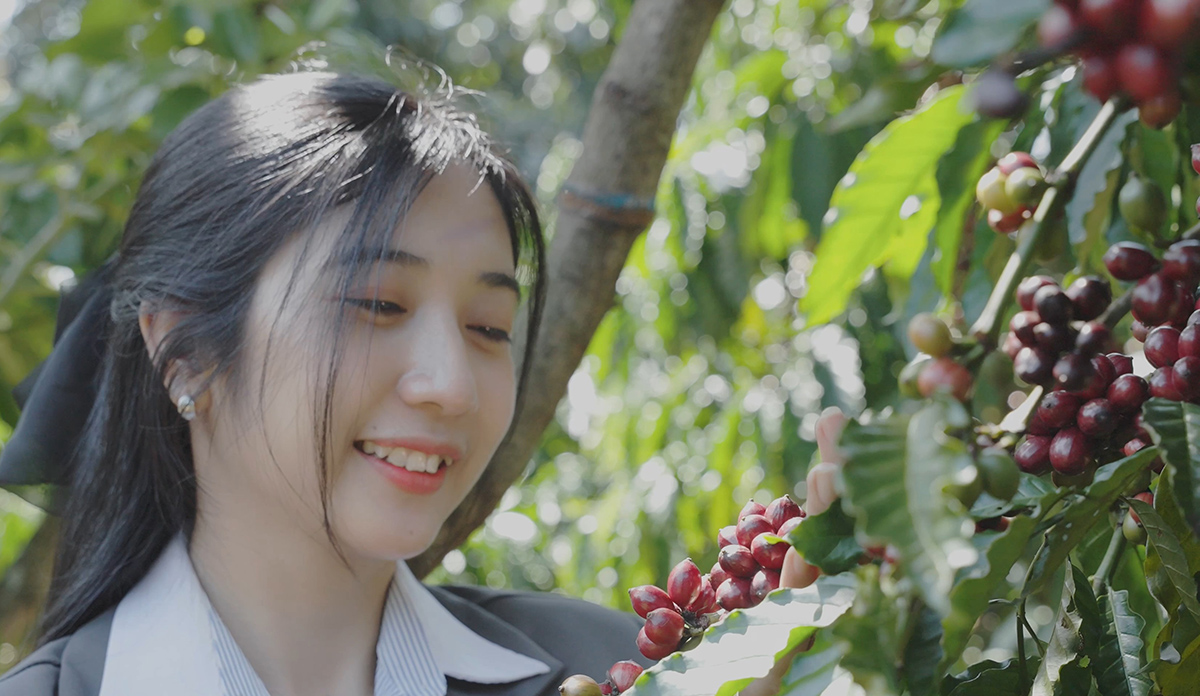 From Highlands to Can Rita Food and Drink CoLtd Visits Vietnams Coffee Gardens in Peak Harvest Season 3
