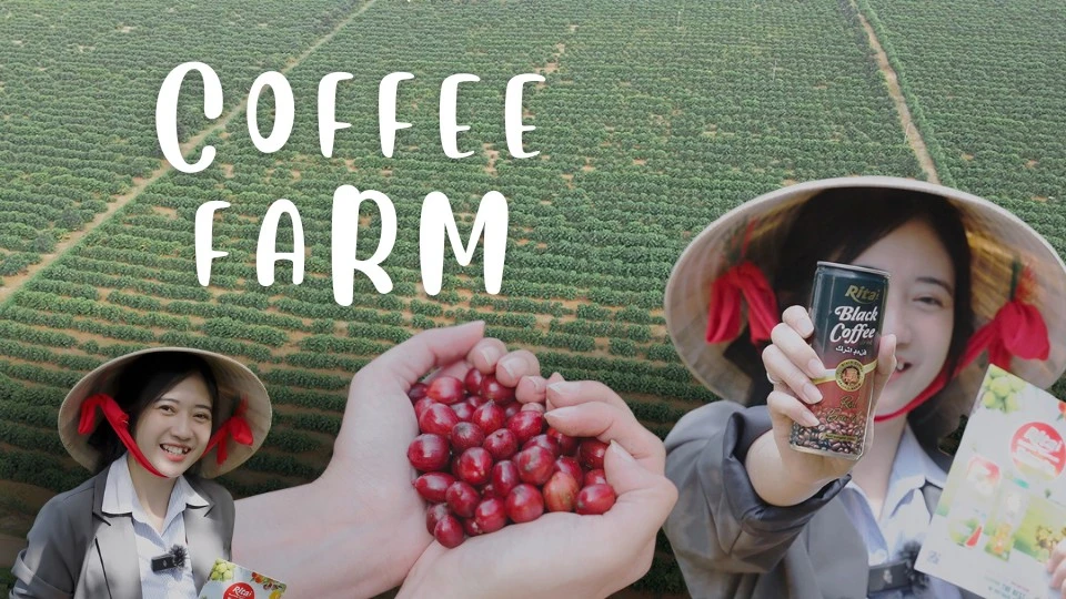 From Highlands to Can: Rita Food & Drink Co.,Ltd Visits Vietnam’s Coffee Gardens in Peak Harvest Season