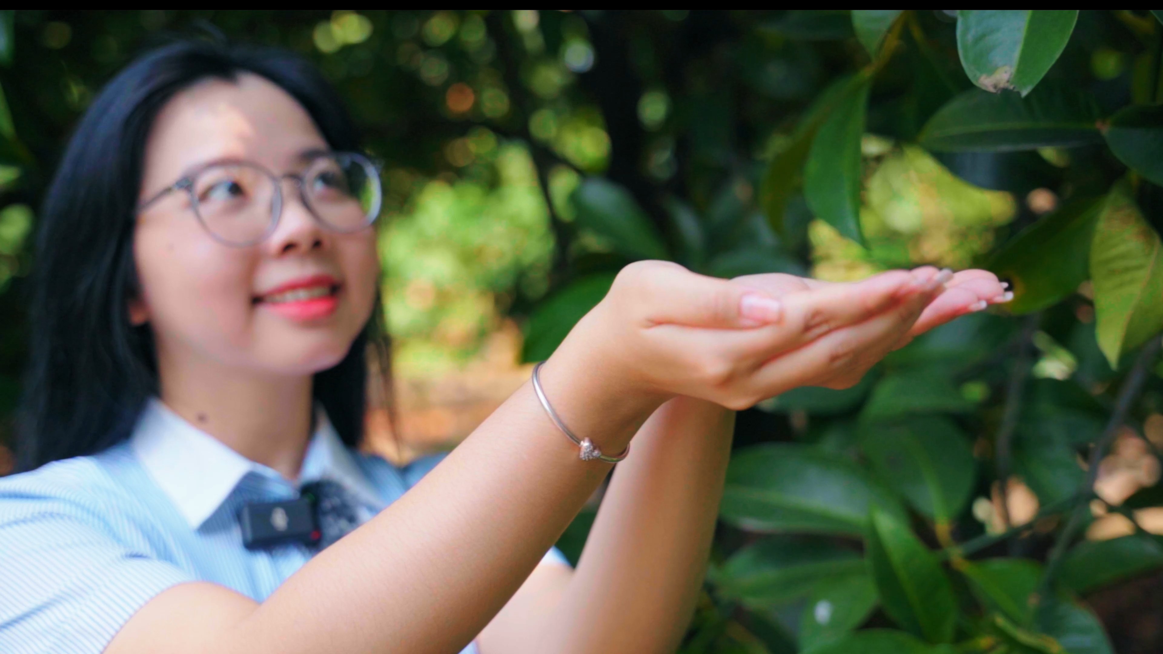 Handpicked for Perfection