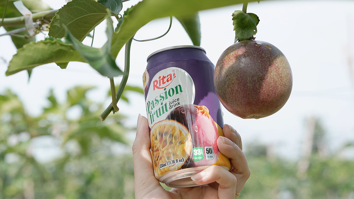 Passion Fruit Gardens in Vietnams Central Highlands 13