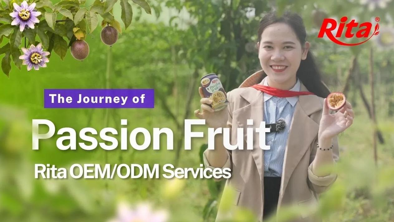 Where Sun Meets Soil: Rita Food & Drink Co.,Ltd Visits Passion Fruit Gardens in Vietnam’s Central Highlands