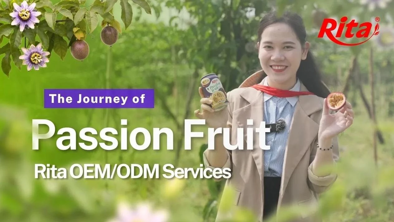 Where Sun Meets Soil: Rita Food & Drink Co.,Ltd Visits Passion Fruit Gardens in Vietnam’s Central Highlands