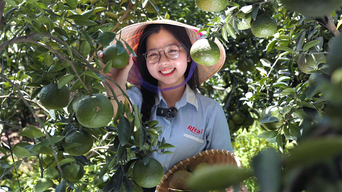 RITAs Orange Fruit Farm 3