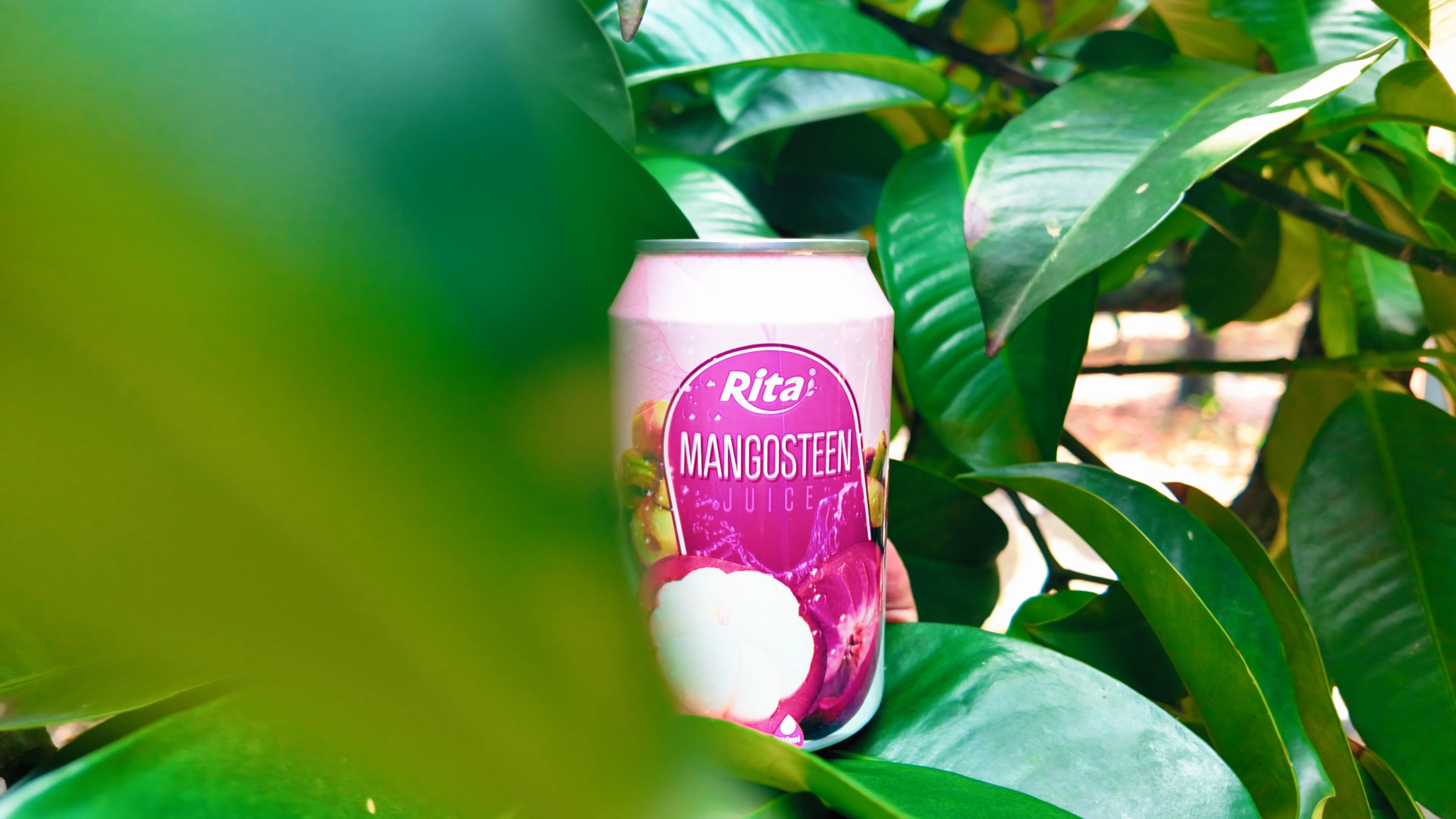 Why Ritas Mangosteen Juice is the Best Choice 2
