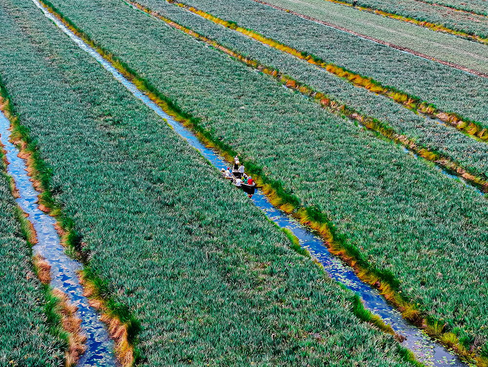 nhà vường rita 51