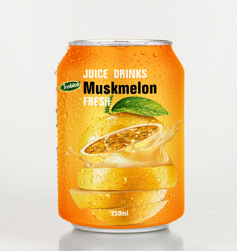 Muskmelon juice drink 250ml short can 2