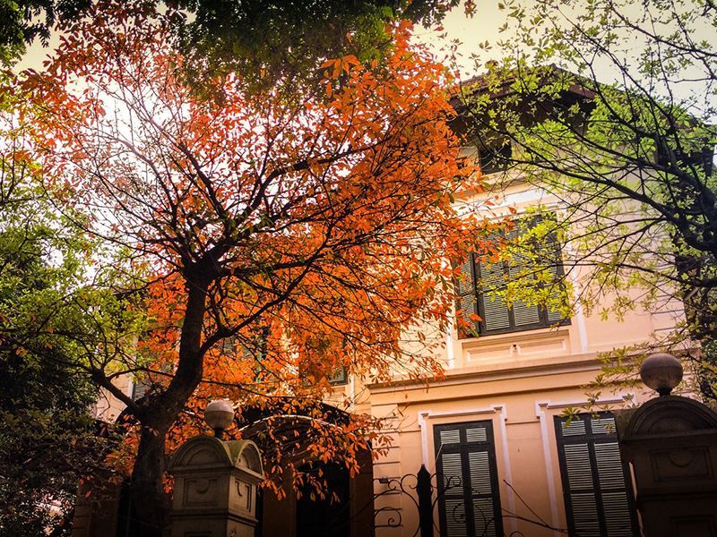 Autumn is the transcendent season in Hanoi