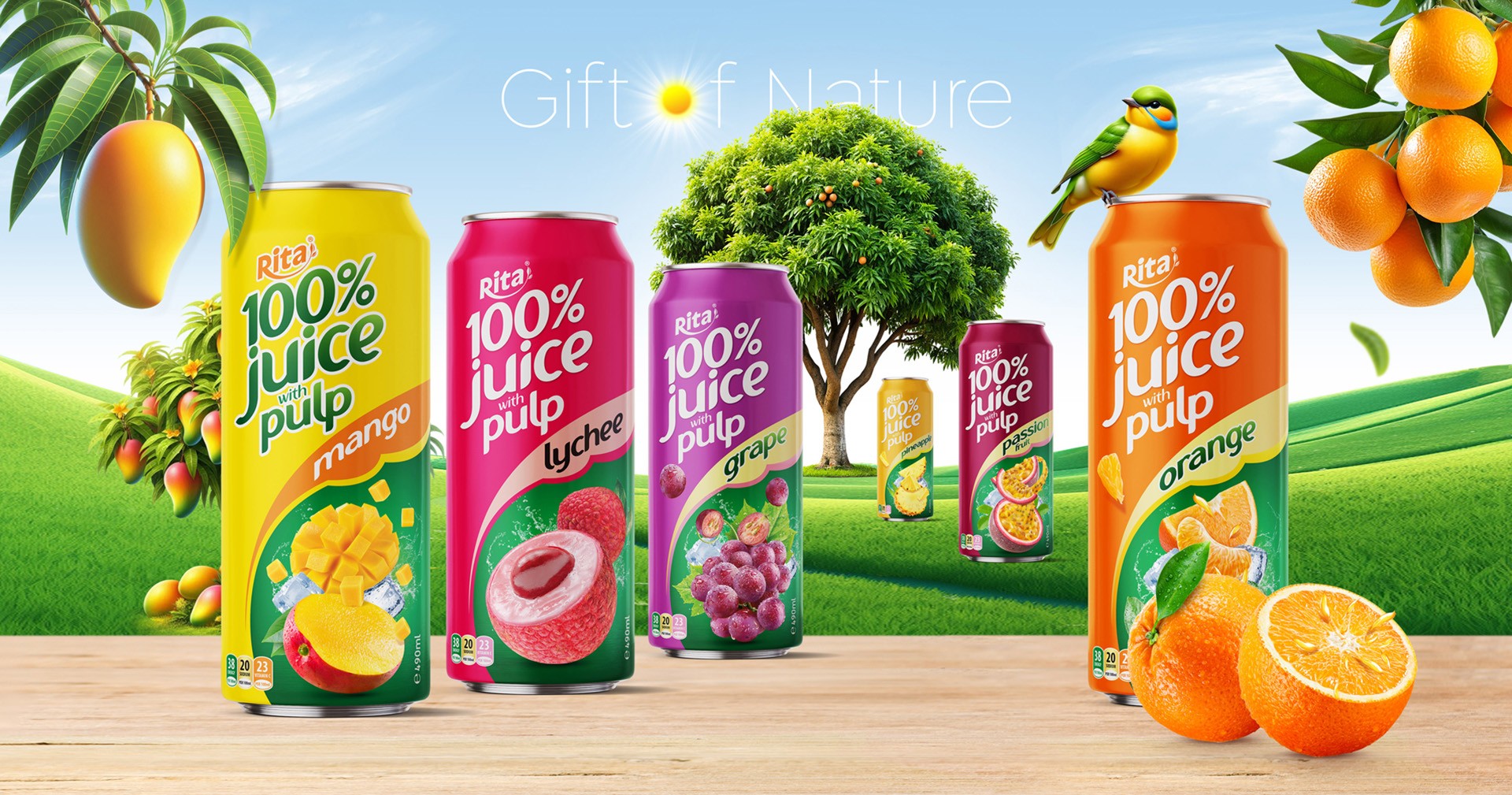 Banner Rita fresh electro coconut water