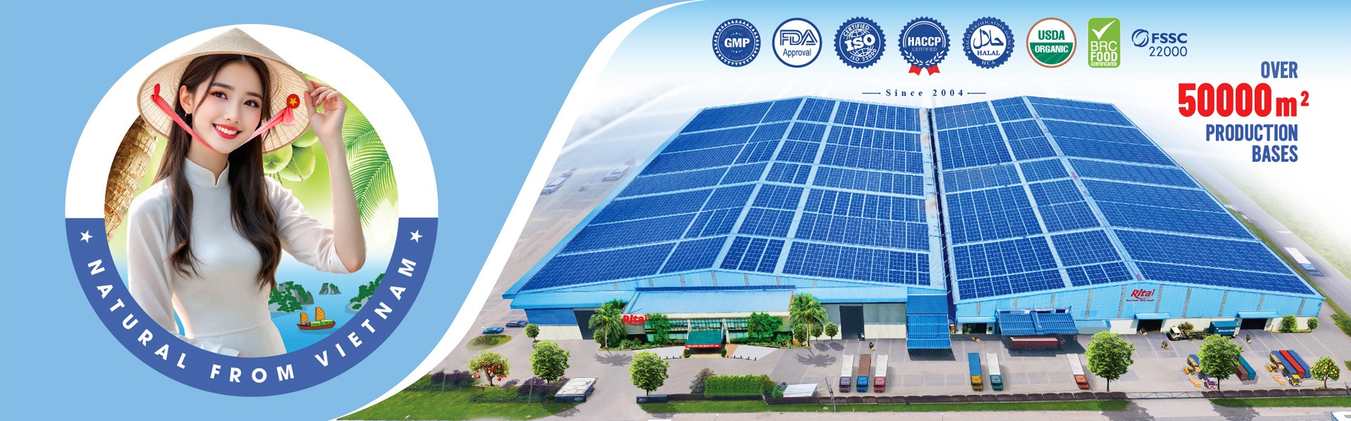 Rita News - RITA office company Rita News - RITA office company