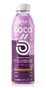 500ml-mangosteen-flavored-coconut-water-with-electrolytes-pet-bottle-283