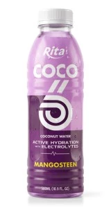 500ml-mangosteen-flavored-coconut-water-with-electrolytes-pet-bottle-283