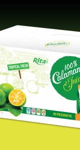 NFC calamansi juice drink 100ml per pouch