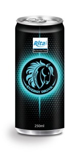Rita Energy Drink brands 250ml Can