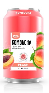 Kombucha in can 330ml