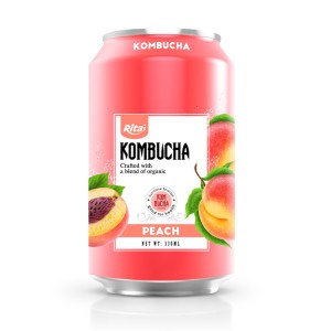Kombucha in can 330ml