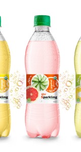 Sparkling Aloe vera juice drink in Pet 500ml