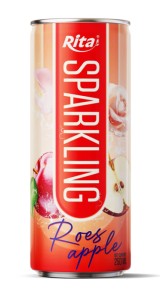 Sparkling drink fruit apple and roes 250ml cans