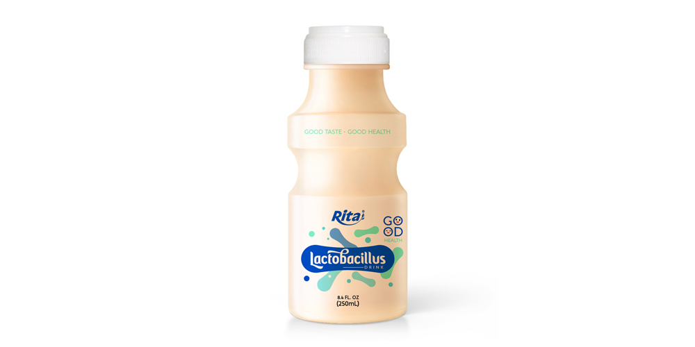 Wholesale Lactobacillus drink 250ml