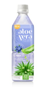 aloe vera pulp juice with blueberry
